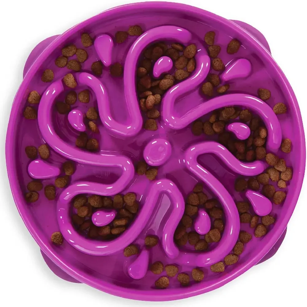 Large Slow Feeder Bowl, Puzzle Maze for Fast Eaters, Medium to Large Dogs,